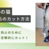 お尻の毛カット_アイキャッチ