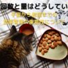 猫の食事回数と量はどうしていますか？子猫から老猫までの食事管理の重要性について