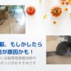 猫の食器洗剤_アイキャッチ