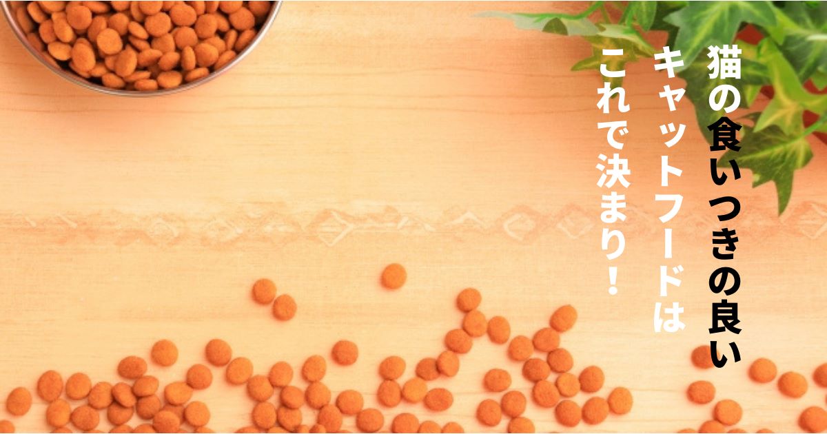 おすすめキャットフード_アイキャッチ