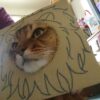 我が家の猫がライオンキングのシンバに変身！！　ライオン・キング　シンバ変身セットのご紹介