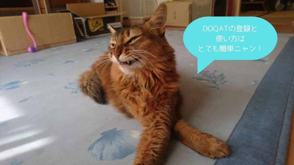 DOQATの登録方法と利用方法を教える猫