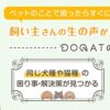 ペット（犬・猫）の困りごとが発生した時、気軽に相談できるひとはいますか？そんな時は完全無料ウェブサービス『DOQAT』を利用しよう！