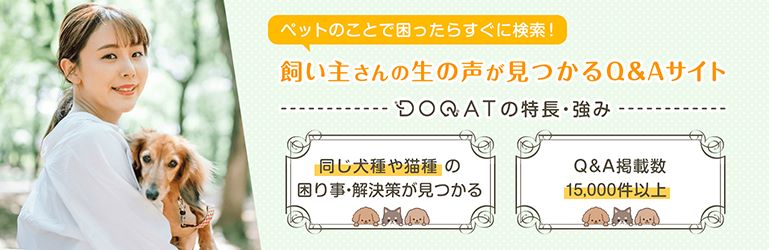 ペットの困りごとが発生した時、気軽に相談できるひとはいますか？そんな時は完全無料ウェブサービス『DOQAT』を利用しよう！