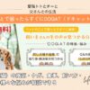 【DOQAT（ドキャット）】ペット（猫・犬）の悩み・困りごとが発生した時、気軽に相談できるひとはいますか？そんな時は無料ウェブサービスを利用しよう！