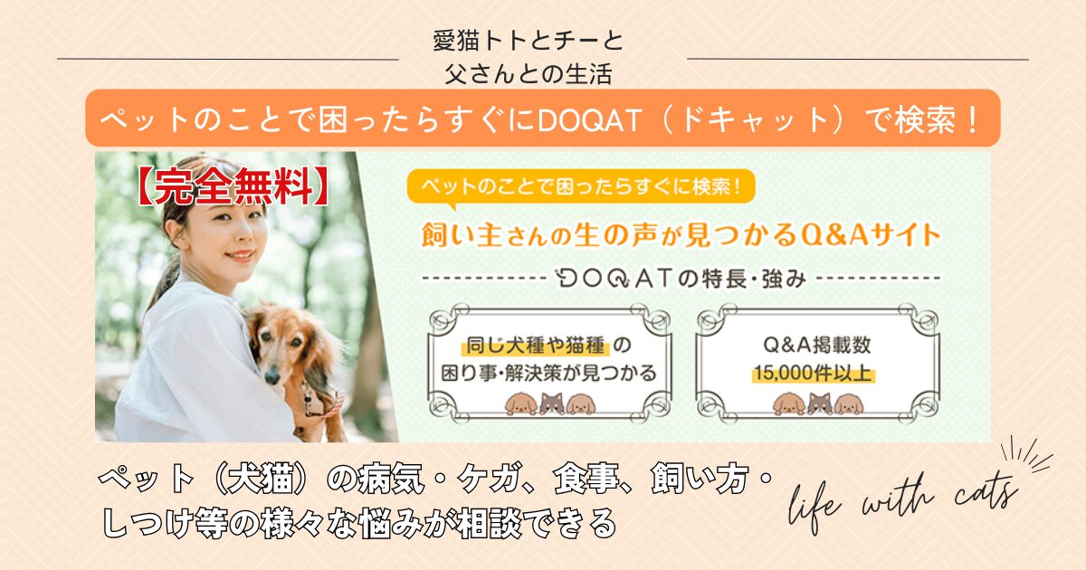 【DOQAT（ドキャット）】ペット（猫・犬）の悩み・困りごとが発生した時、気軽に相談できるひとはいますか？そんな時は無料ウェブサービスを利用しよう！