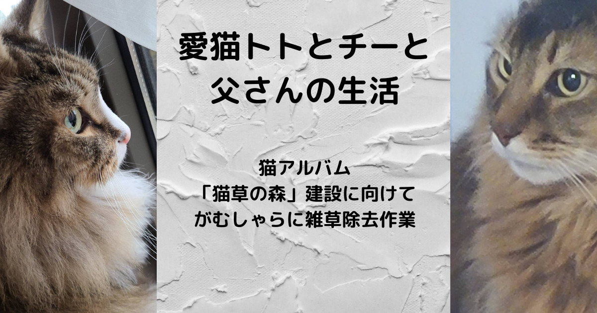 「猫草の森」建設に向けてがむしゃらに雑草除去作業