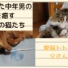 疲れきった中年男の心を癒す我が家の猫たち　～ノルウェージャンフォレストキャットとソマリ～