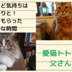 忙しい時ほど気持ちはのんびりと！　テレワーク中に愛猫からもらったのどかな時間