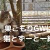 巣ごもりGWは猫とずーと一緒