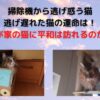 掃除機から逃げ惑う猫、逃げ遅れた猫の運命は！我が家の猫に平和は訪れるのか？