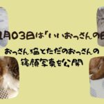 いいおっさんが猫ブログ 「いいおっさんの日（11月3日）」にちなんで、かわいいおっさん猫とただのおっさんの寝顔写真を公開！