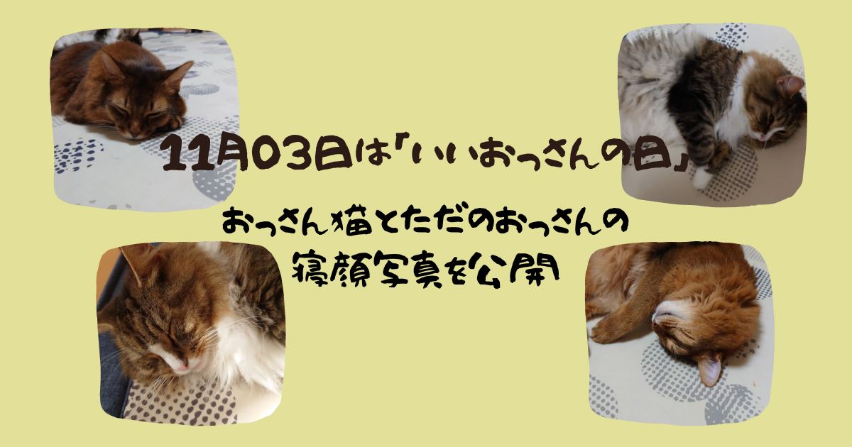 いいおっさんが猫ブログ 「いいおっさんの日（11月3日）」にちなんで、かわいいおっさん猫とただのおっさんの寝顔写真を公開！