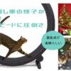 キャットエクササイズホイール