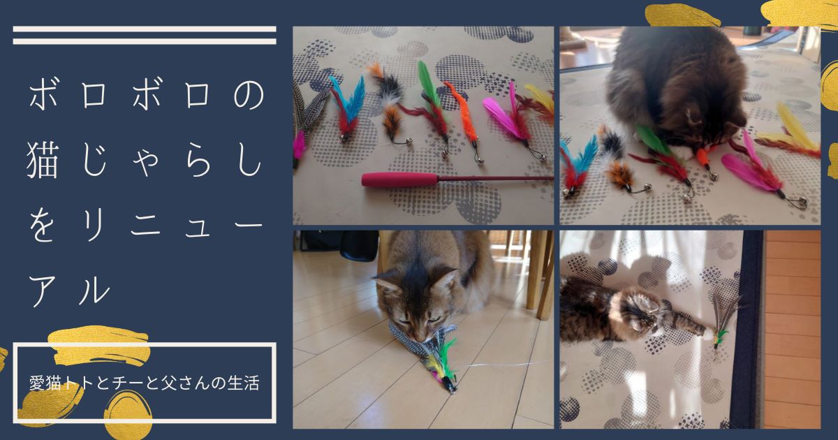 ボロボロの猫じゃらし_アイキャッチ