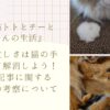 年末の忙しさは猫の手を借りて解消しよう！＋猫DIY記事に関するブコメの考察について