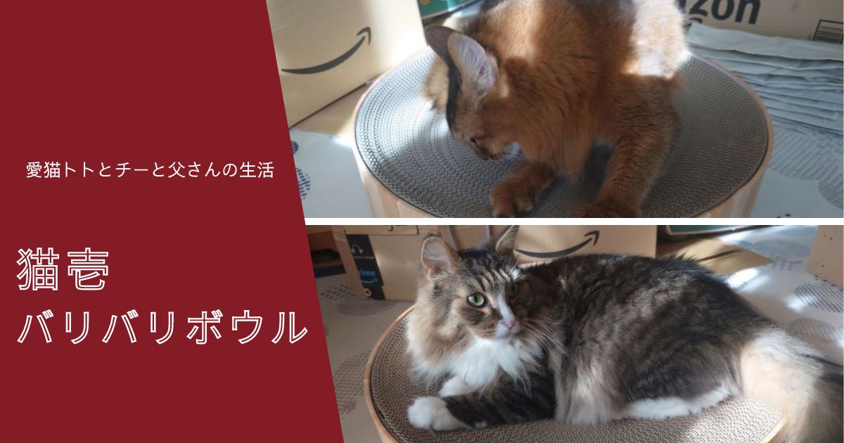 アイキャッチ_バリバリボウル