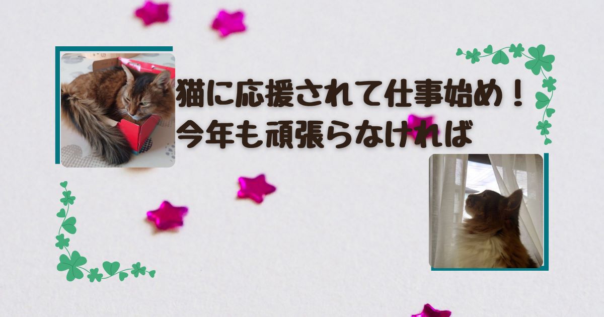 猫に応援されて仕事始め！今年も頑張らなければ