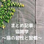 猫の雑学_アイキャッチ