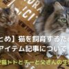 猫の飼育アイテム_アイキャッチ