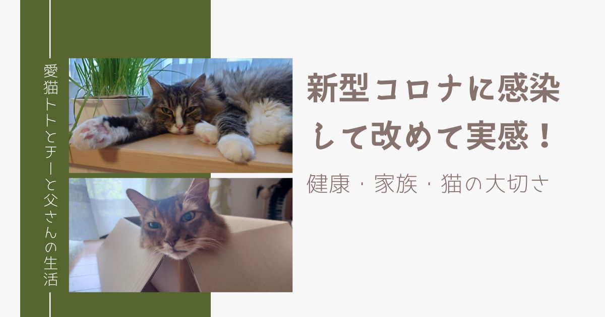 新型コロナに感染して改めて実感した健康・家族・猫の大切さ！