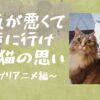 天気が悪くて散歩に行けない猫の思い　～ジブリアニメ編～