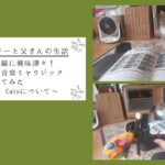 我が家の猫は三線に興味津々！猫が大好きな音楽ミャウジックについて調べてみた（Music For Cats）