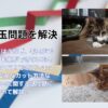 猫の毛玉問題を解決：安全なカット方法と予防策