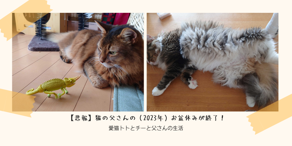 【悲報】猫の父さんの（2023年）お盆休みが終了！