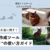 愛猫トトとチーと父さんの生活、愛猫との思い出を永遠に残しませんか？本記事は簡単に動画作成を行ってくれるサービスを探している方のためのガイドです。【ペトフリ】を使えば、簡単に高品質な動画を作成することができます。是非、このツールを使って、猫との大切な思い出を永遠に残してください。