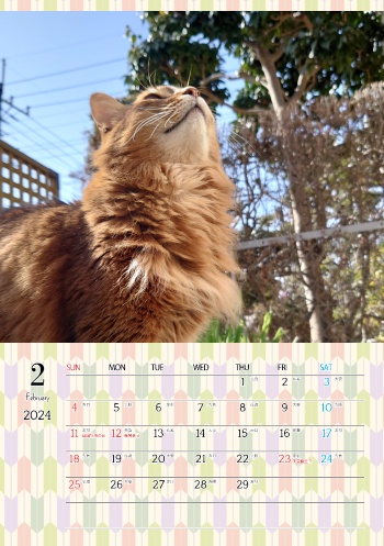 カレンダー研究所_猫のオリジナルカレンダー_2024年2月