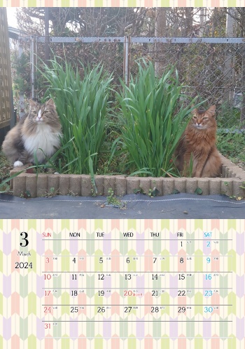 カレンダー研究所_猫のオリジナルカレンダー_2024年3月
