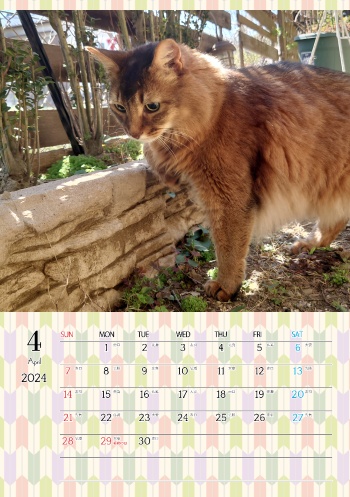 カレンダー研究所_猫のオリジナルカレンダー_2024年4月