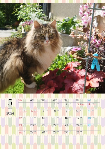 カレンダー研究所_猫のオリジナルカレンダー_2024年5月