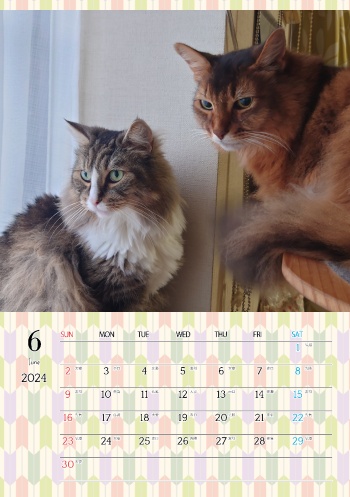 カレンダー研究所_猫のオリジナルカレンダー_2024年6月