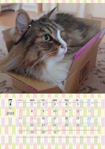 カレンダー研究所_猫のオリジナルカレンダー_2024年7月