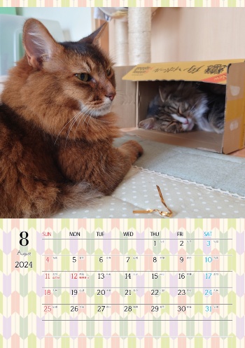 カレンダー研究所_猫のオリジナルカレンダー_2024年8月