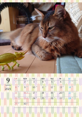 カレンダー研究所_猫のオリジナルカレンダー_2024年9月
