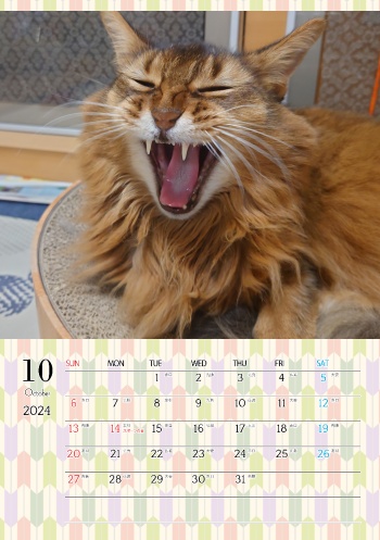 カレンダー研究所_猫のオリジナルカレンダー_2024年10月
