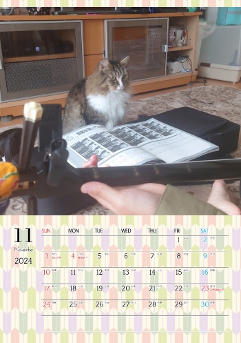 カレンダー研究所_猫のオリジナルカレンダー_2024年11月