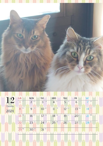 カレンダー研究所_猫のオリジナルカレンダー_2024年12月