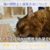 猫の膀胱炎と採尿方法について