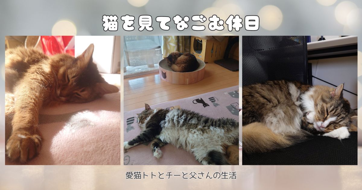 猫を見てなごむ休日