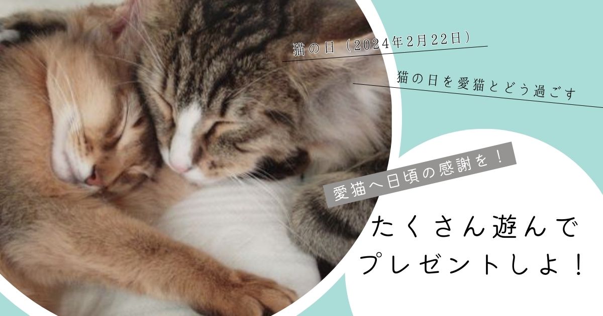 【2024】猫の日（2月22日）には愛猫とたくさん遊んでプレゼントを贈ろう！_アイキャッチ