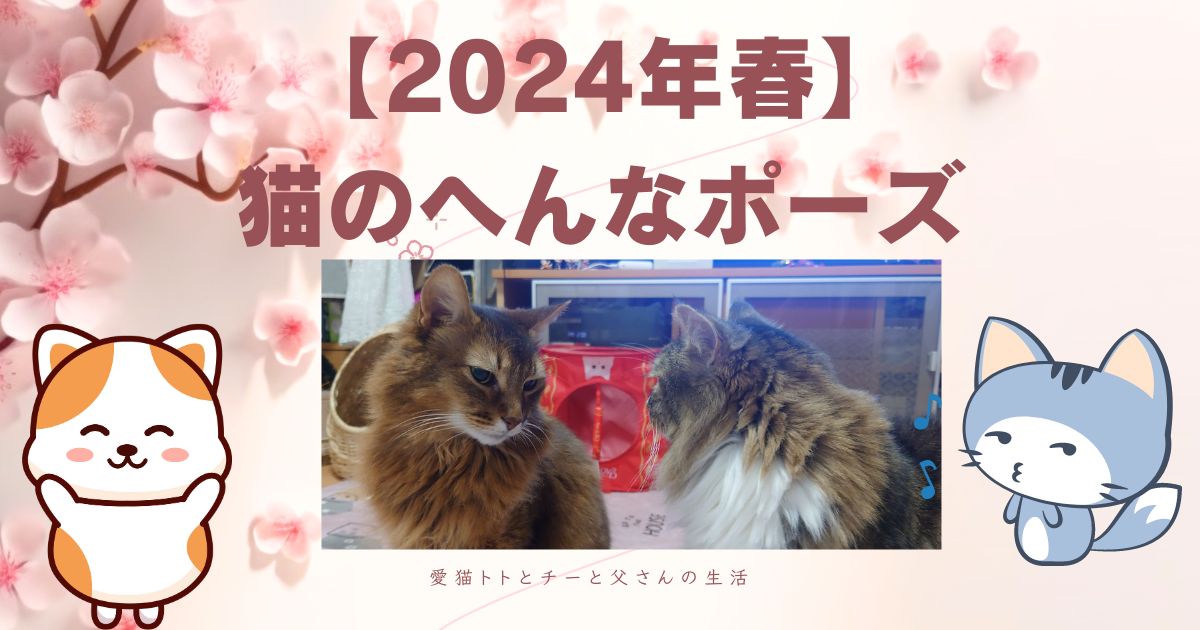 【2024年春】猫のへんなポーズ